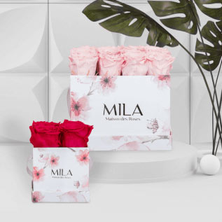 Mila Roses - Roses Eternelles - Editions limitées